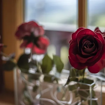 아파트 Sonnenalm Mountain *