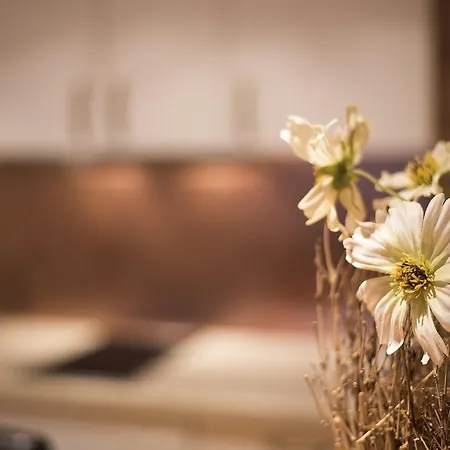 아파트 Sonnenalm Mountain