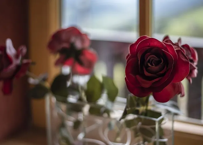 公寓 Sonnenalm Mountain *